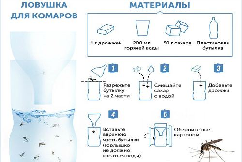 ловушка