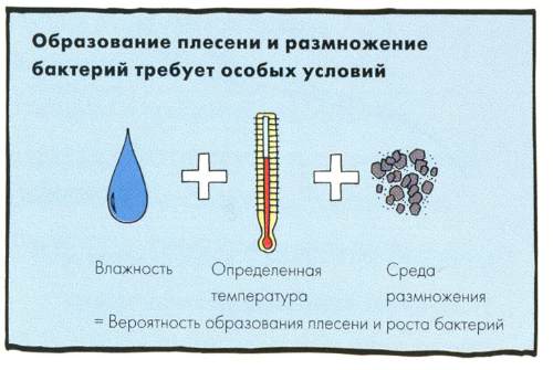 условия для образования грибка