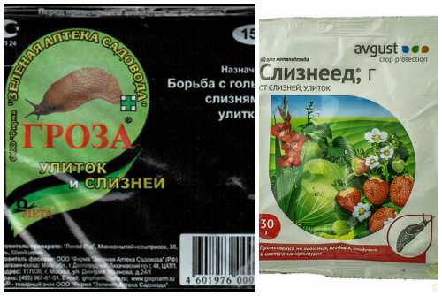 Гроза и Слизнеед