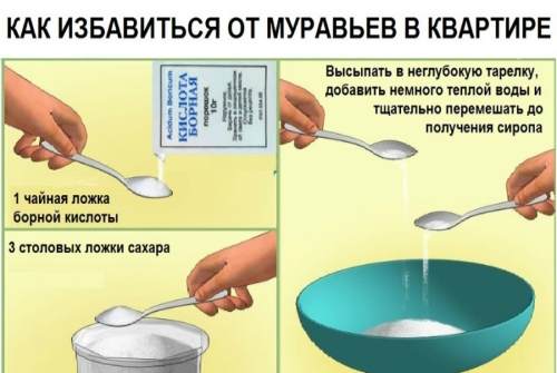 борная кислота и сахар
