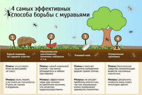 эффективные способы борьбы