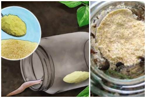 кукурузная мука
