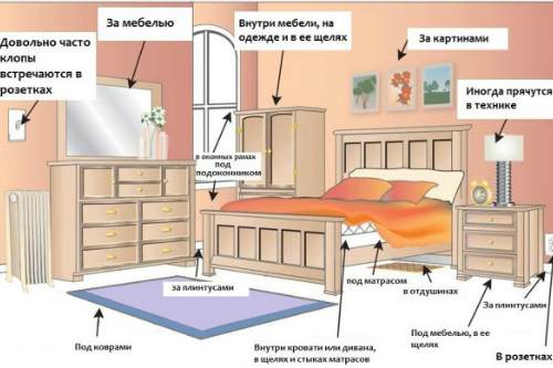Излюбленные места обитания кровососов