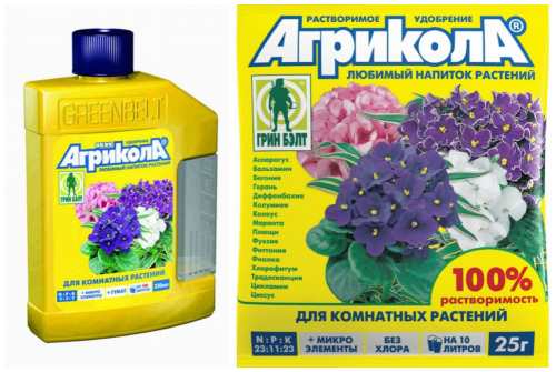 агрикола