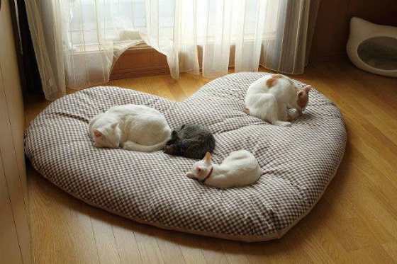 Кошачья постель в форме сердечка