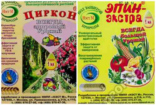 подкормка
