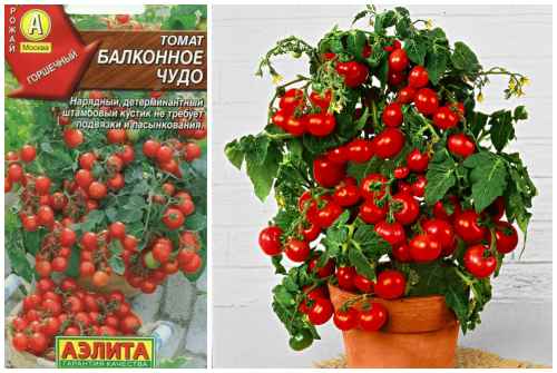 Балконное чудо