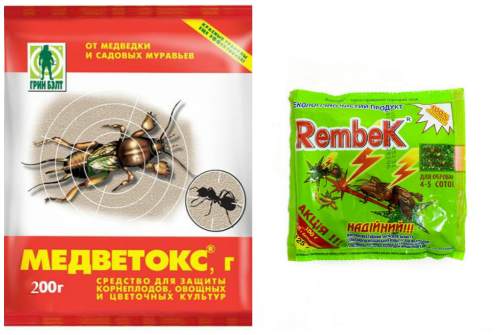 Медветокс и Rembek