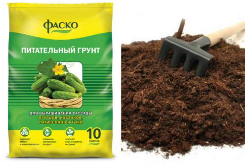 грунт