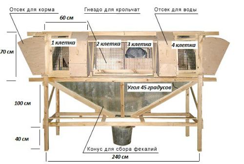 кролятник своими руками