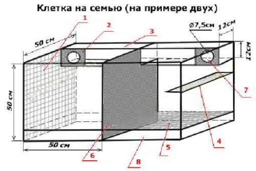 схема клетки