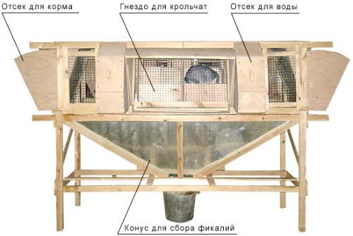 клетка от Михайлова