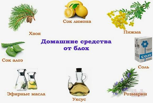 народные рецепты