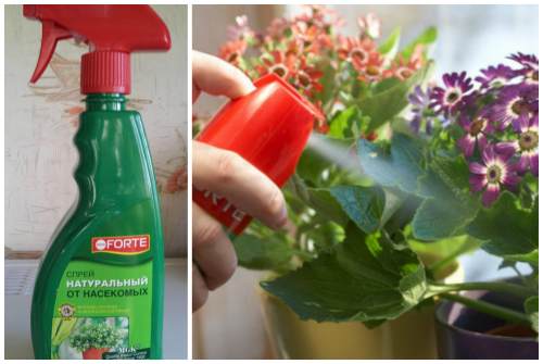 опрыскивание