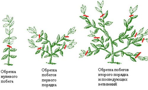 обрезка
