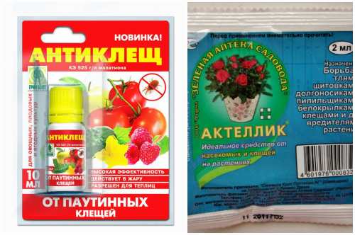 антиклещ и актеллик