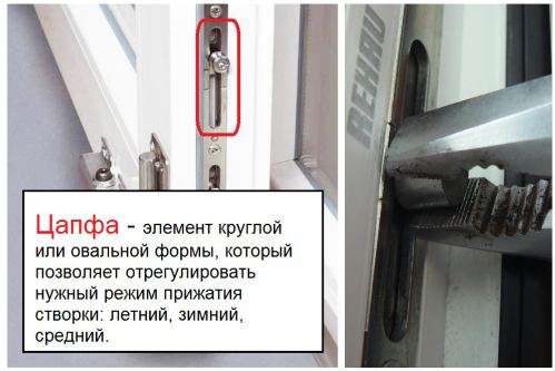 цапфа