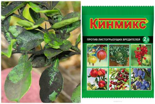Кинмикс против вредителей 