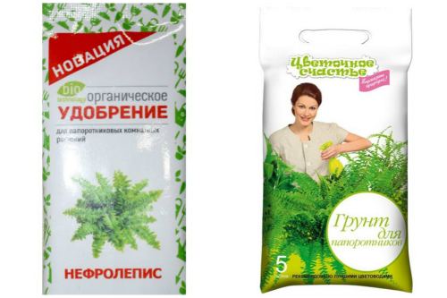 удобрение и грунт для папоротников