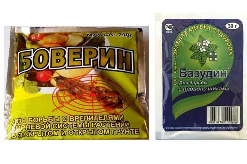 Боверин, Базудин