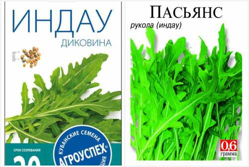 Диковина, Пасьянс