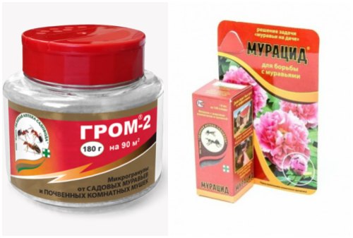 Гром-2, Мурацид от муравьев