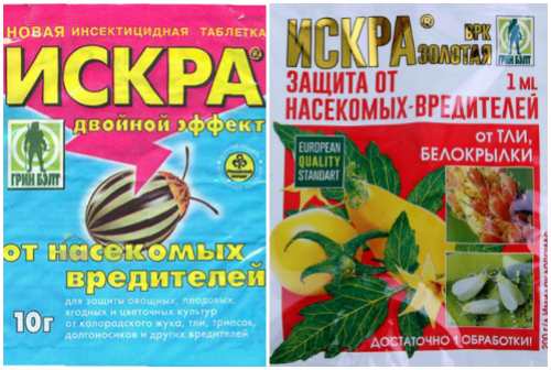 Искра