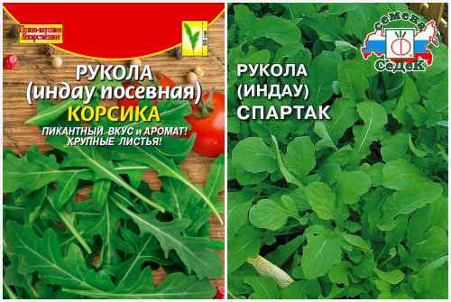 Корсика. Спартак