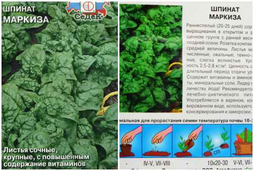 Маркиза