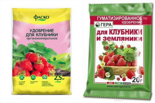 подкормка