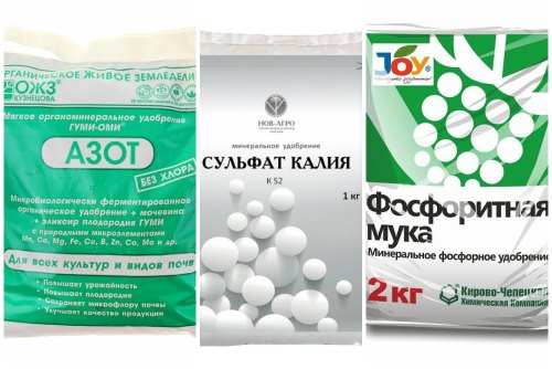азот, калий, фосфор