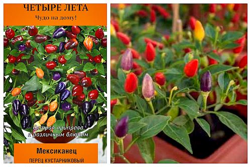 Мексиканец