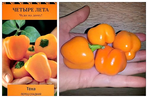 Тема