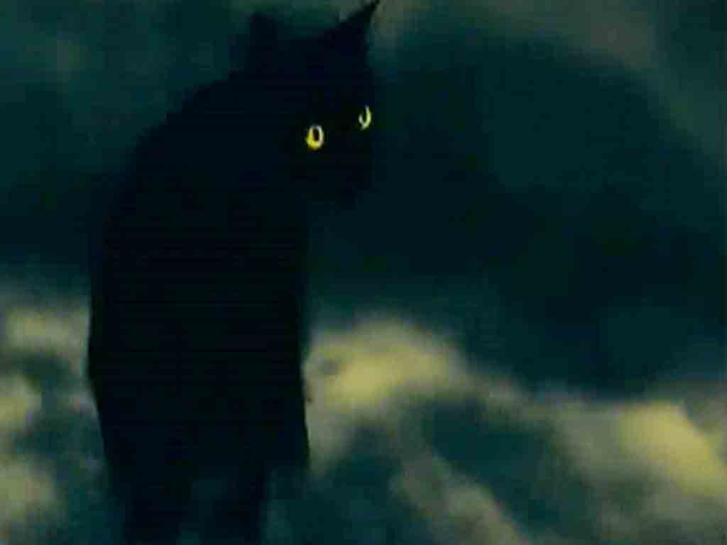 Легенда о демонической кошке
