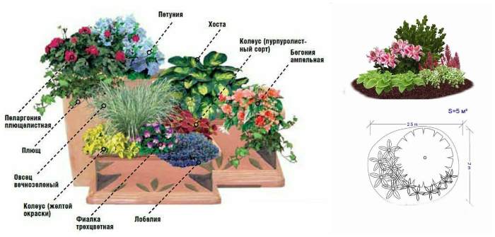 Схемы высадки цветов