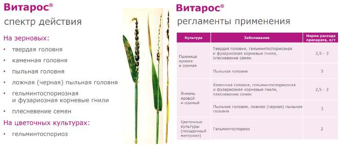 Нормы расхода и спектр действия фунгицида Витарос
